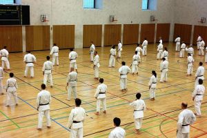 Karate-Lehrgang Freiburg 18.12.2011