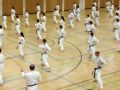 karate lehrgang 20121009 1110737857