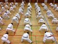 karate lehrgang 20121009 1491095994