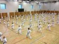 karate lehrgang 20121009 1914807555