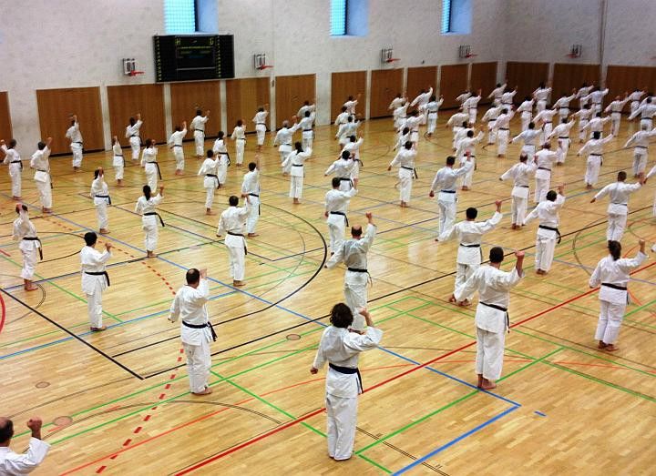 karate lehrgang 20121009 1962988618