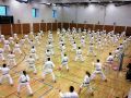 karate lehrgang 20121009 2067991859