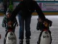 schlittschuhlaufen 20130225 1926488758